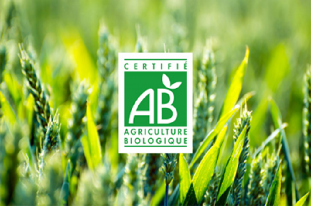 Faire évoluer Les Systèmes De Production Agricole - Algues-vertes.com